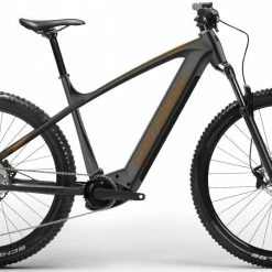 Corratec E-Power X Vert Pro Gent - CX 750Wh - 2022