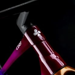 Colnago C68 Road Disc - Motoki Yoshio Limitiertes Sondermodell - Campagnolo Super Record EPS Disc - Campagnolo Bora Ultra WTO 45 DB - 2023 14 Colnago C68 Road Disc - Motoki Yoshio Limitiertes Sondermodell - Campagnolo Super Record EPS Disc - Campagnolo Bora Ultra WTO 45 DB - 2023 -Bergamont Verkaufsladen colnagoc68motoki fondonero 19