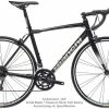 Bianchi Via Nirone 7 Rim Alu - Sora 9sp - 2022 1 Bianchi Via Nirone 7 Rim Alu - Sora 9sp - 2022 -Bergamont Verkaufsladen yrbk2n2 9
